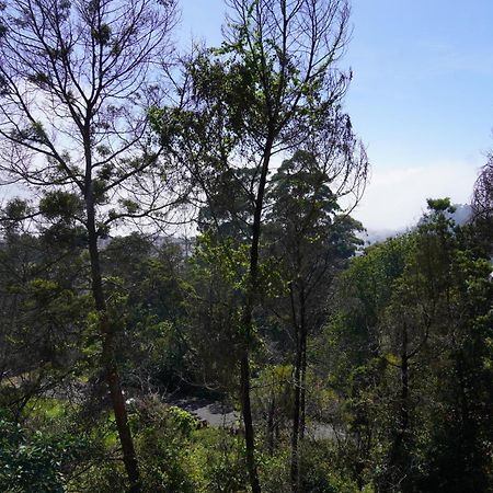 Kodai Drizzle - A Luxury Villa Кодайканал Екстер'єр фото