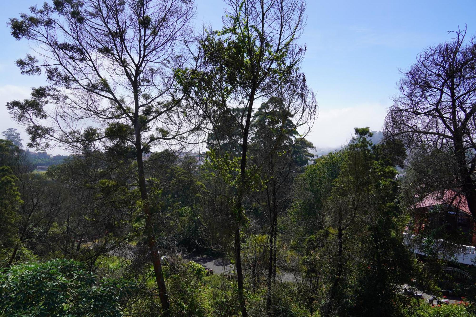 Kodai Drizzle - A Luxury Villa Кодайканал Екстер'єр фото